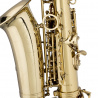 WS-AS215S Es alt saxofon