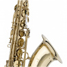 WS-TS215S  B tenor saxofon