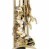 WS-TS215S  B tenor saxofon