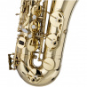WS-TS215S  B tenor saxofon