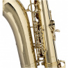 WS-TS215S  B tenor saxofon
