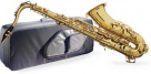 WS-TS215S  B tenor saxofon