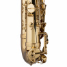 LV-AS4105 Es alt saxofon