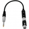 AC-03 30cm, XLR F-Jack 6,3