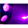 LED SCY-5 Hybrid, 5x4W QCL, 30x0,2W RGB, paprskový efekt