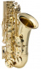 Alto Saxofon VAS STUDENT 02