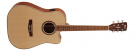 Elektroakustická kytara AD890CF NT