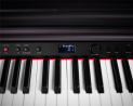 DP-10e Rosewood