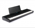 Vivace Pro Black