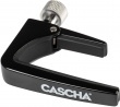 CACP2A