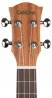 Tenorové ukulele Premium HH2047L