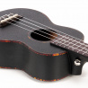 Koncertní ukulele Premium HH2300