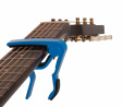 CB5 Capo Blue