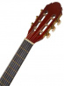 Primera Spruce 34-NT
