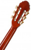 Primera Spruce 34-NT