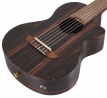 RGL5EB-CE Elektroakustické kytarové ukulele