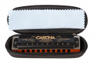 Professional Blues Series C-major
