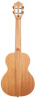 Iris Tenor BK