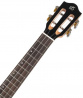 Iris Tenor BK