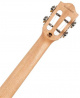Iris Tenor BK