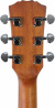 Roadbuddy Spruce Top