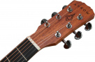 Roadbuddy Spruce Top