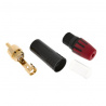 MT380 Red RCA M