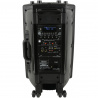 QX-12 PLUS, mobilní systém 2x UHF