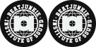 Double Slipmat Set - Beat Junkies Institute Of Sound