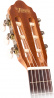 VC350 Guitalele Natural