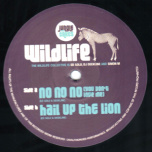 Jungle Cakes 02 RP - No No No / Hail Up The Lion
