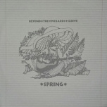 Beyond The Wizards Sleeve - Spring  LP