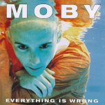 Everything Is Wrong  LP