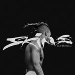 XXXtentacion - Skins  LP