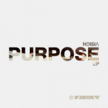Vision 18B - Purpose EP  2xLP