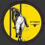 Tapage Nocturne 11 RP