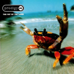 The Fat Of The Land   2xLP