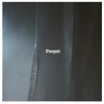 Vision 137 - Sleepnet  LP