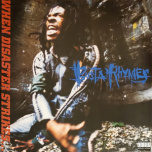 When Disaster Strikes...  2xLP