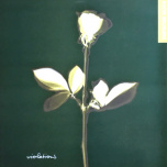 Depeche Mode - Violations  LP