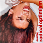 Radical Optimism  LP