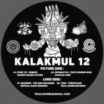 Kalakmul 12