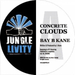 Jungle Livity 05 - Concrete Clouds