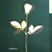 Depeche Mode - Violations  LP