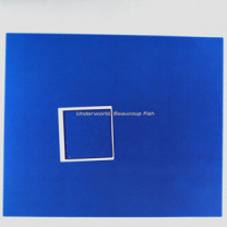 Beaucoup Fish  2xLP
