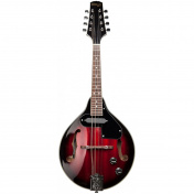 M50 E elektroakustická bluegrassová mandolína