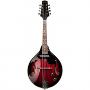 M50 E elektroakustická bluegrassová mandolína