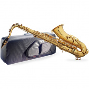 WS-TS215S  B tenor saxofon