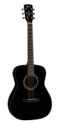 Akustická kytara AF510 BKS