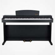 DP-2 Rosewood